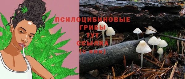 амфетамин Нязепетровск