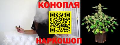 МДПВ Лесосибирск