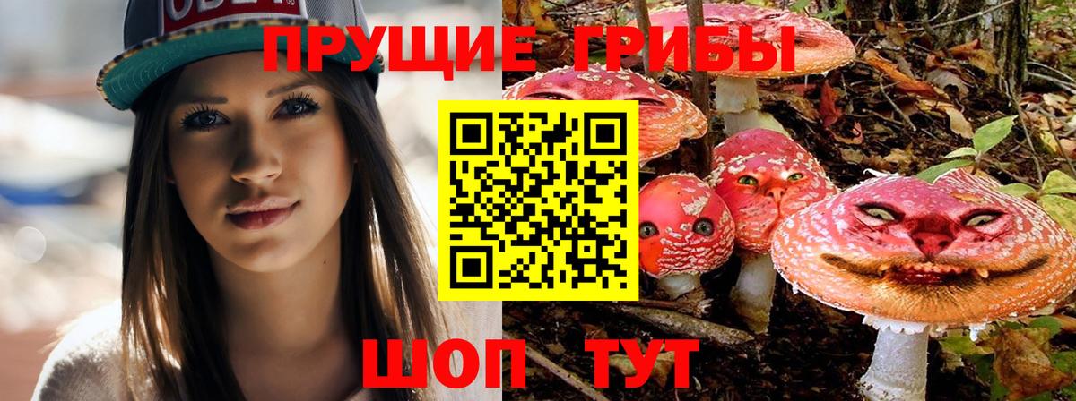 Свободный  Псилоцибиновые грибы ЛСД  Вход с VPN 